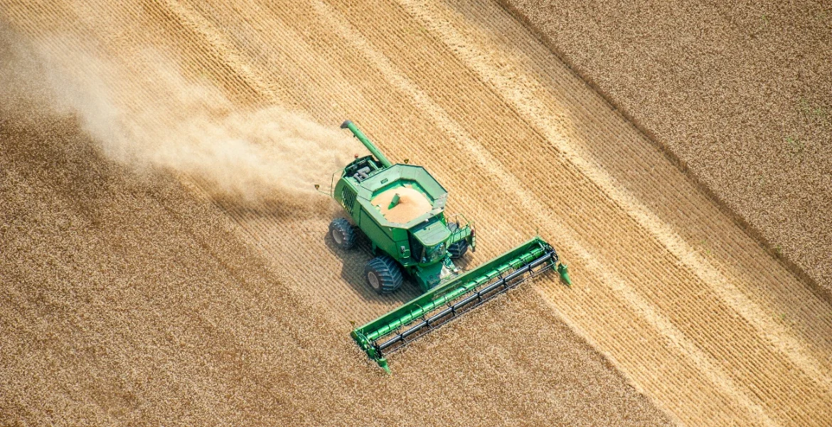 kombajn w polu